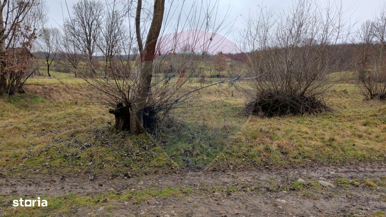 Teren 2,932mp Sarbi (Budesti) / Drumul Principal - Imagine principală: 4/7