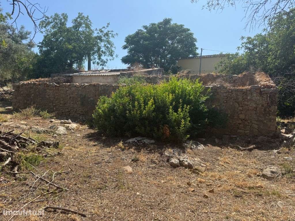Terreno com 24.080 m², Ruínas e Moradia T2 em Madeira - Moncarapacho-9