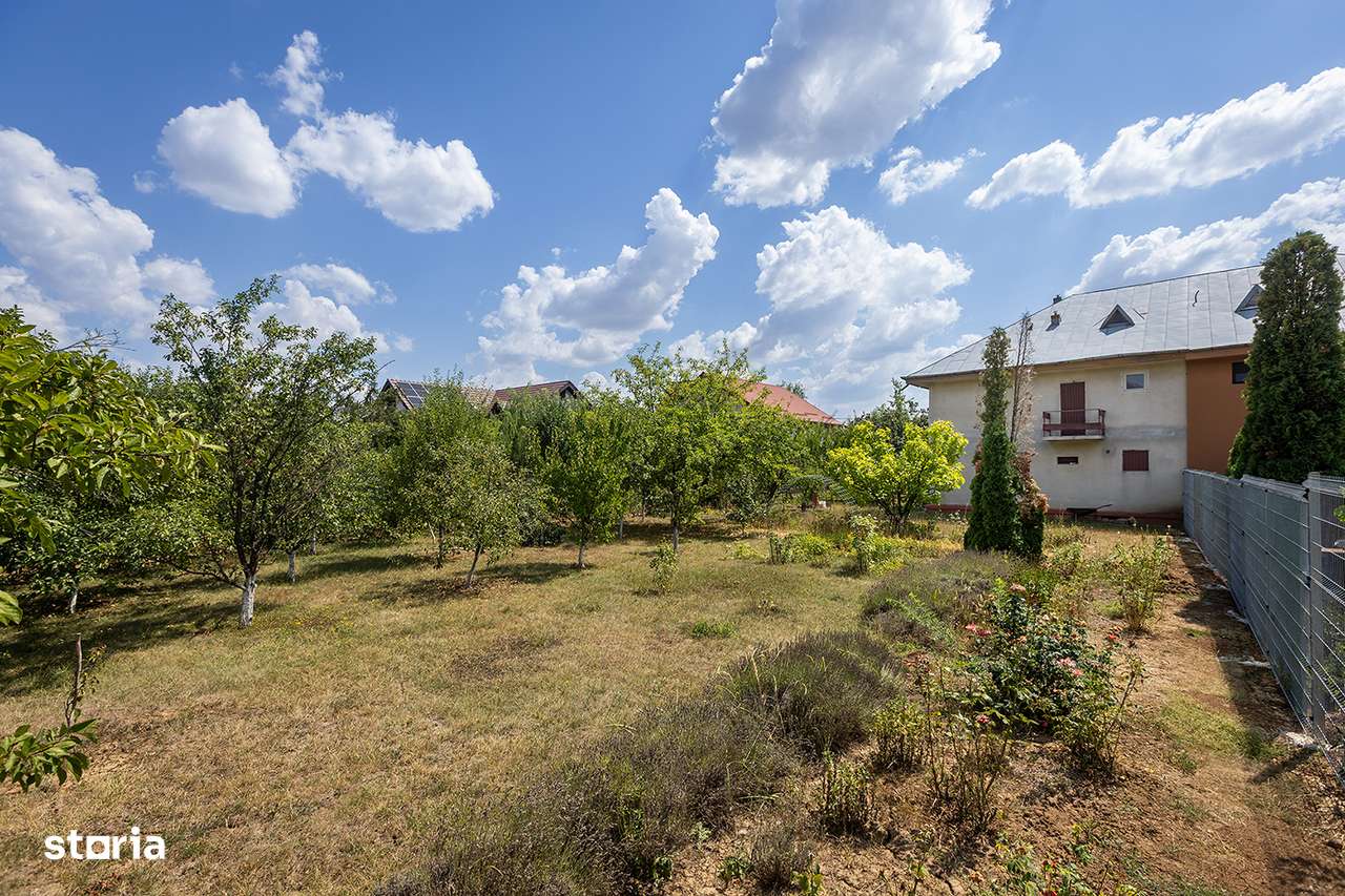 Locație rară: casă între pădure și apă,pentru un proiect de suflet-6