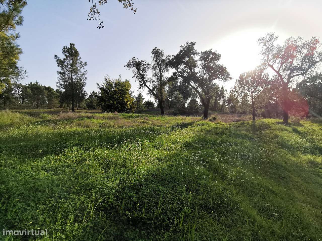 Moradia T2  Lamarosa de Coruche-25