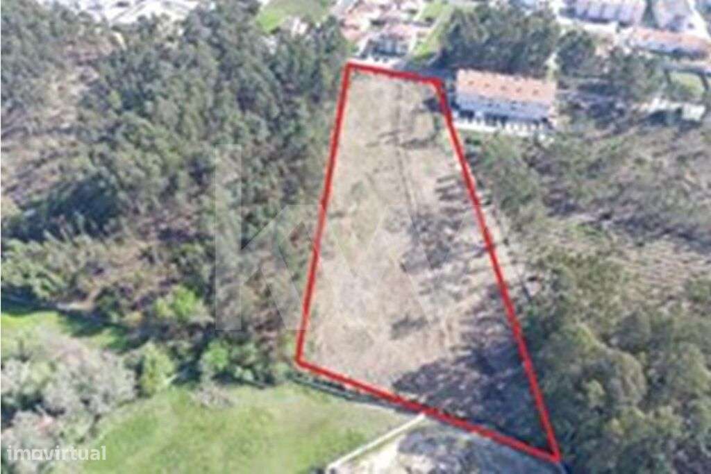 Oportunidade Única de Investimento - Grande imagem: 2/6