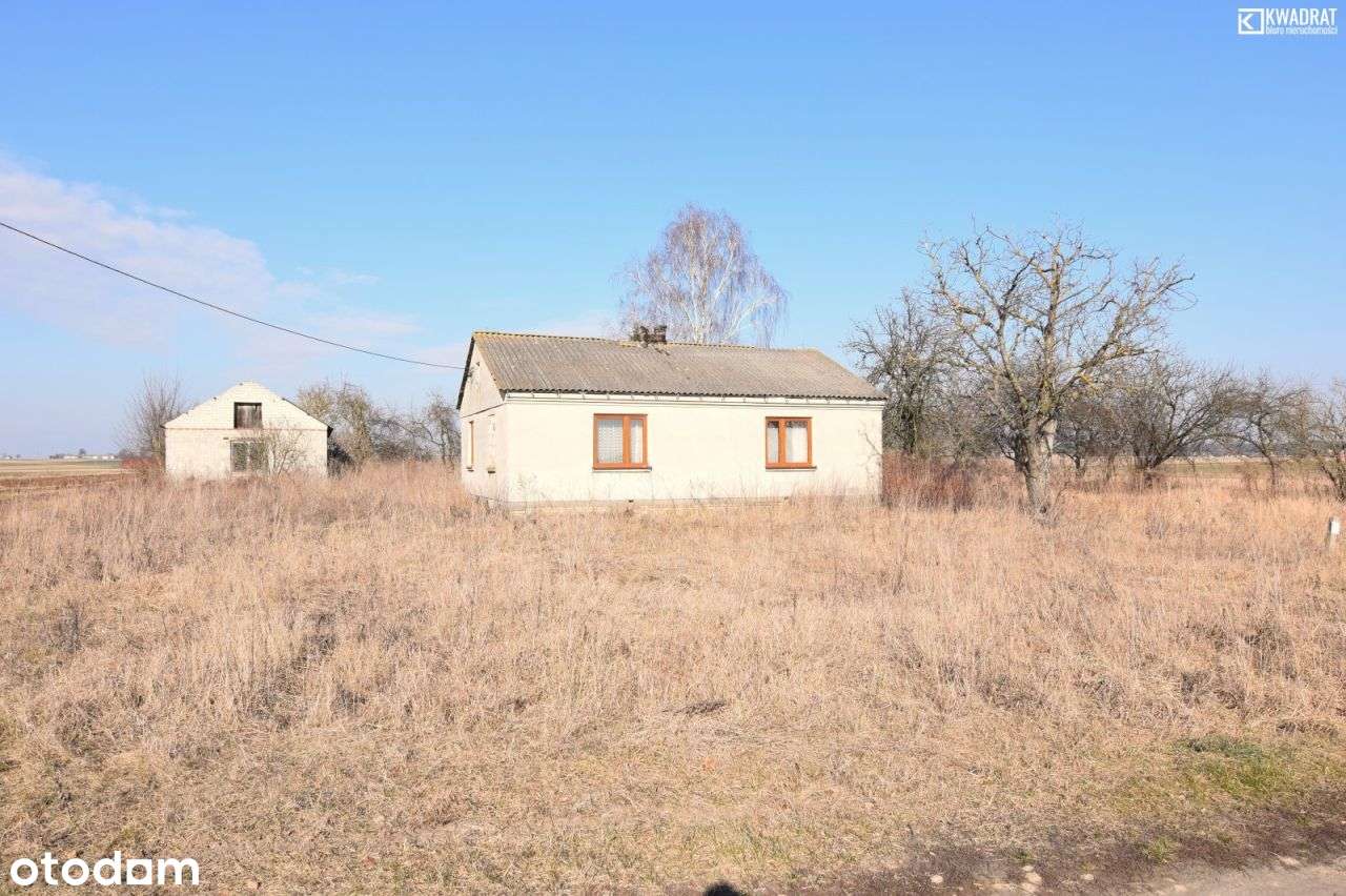 Janowice/ prawie 2 hektary/ siedlisko - Pełny obrazek: 5/9