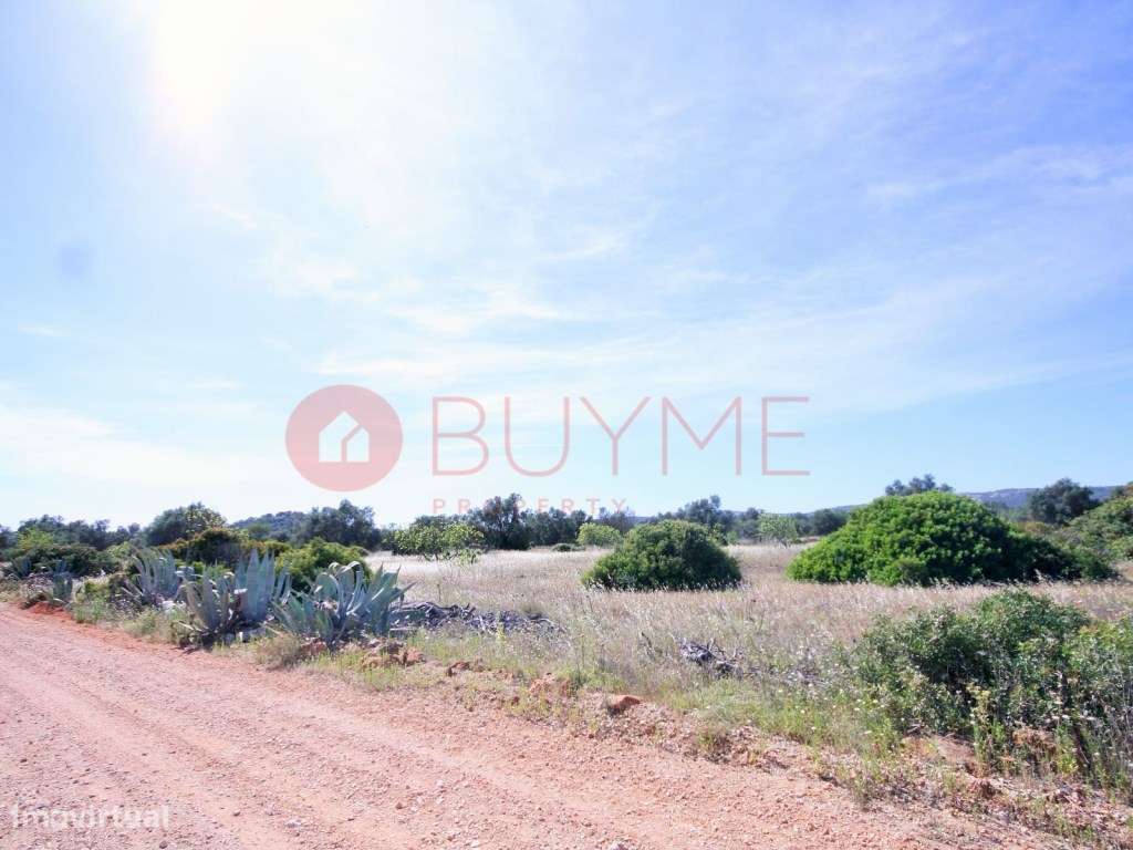 Terreno Rústico com Potencial Agrícola em Loulé / Campina de Baixo - Grande imagem: 2/5