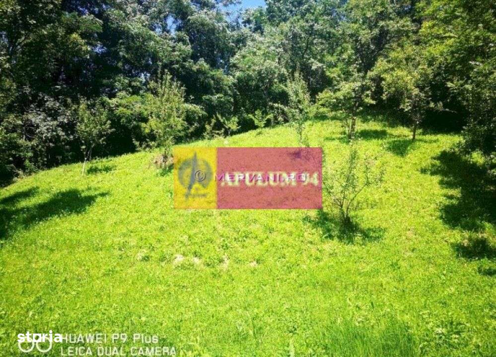 Teren de vanzare in Comarnic (zona Poiana) - Imagine principală: 2/6