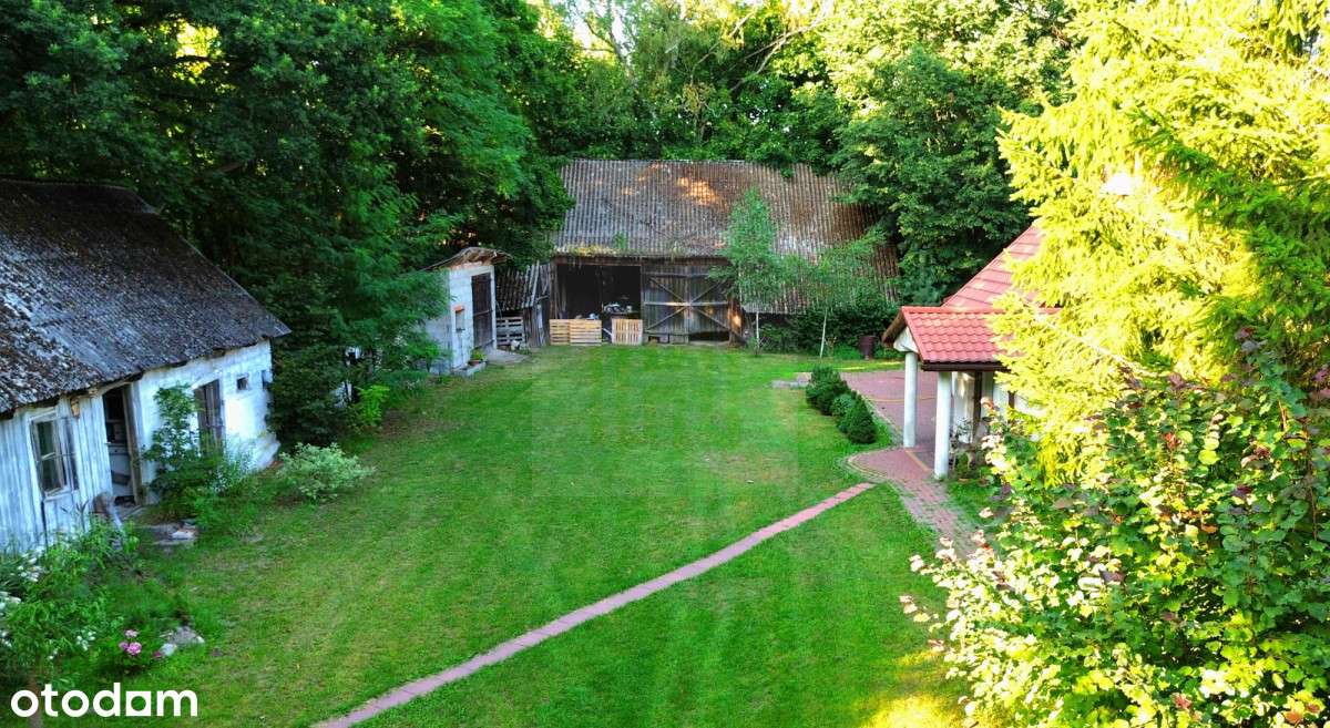 Siedlisko 30 min. od Warszawy,działka 33 000m2 - Pełny obrazek: 5/20