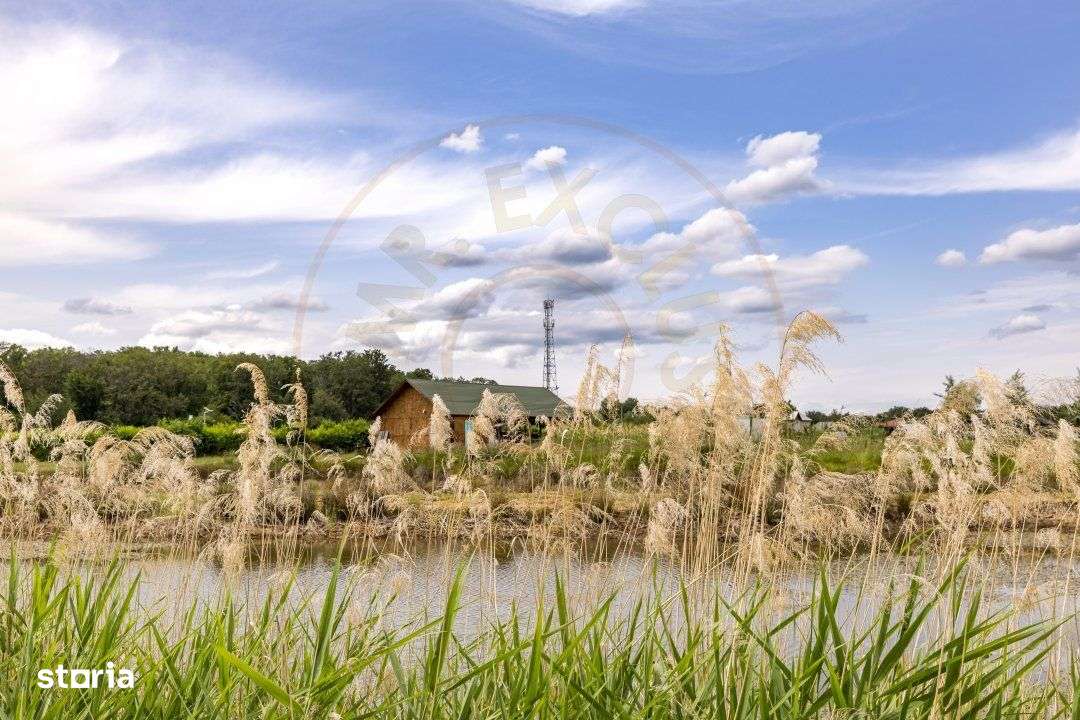 Afacere multifunctionala cu venituri imediate si potential de extinder-15