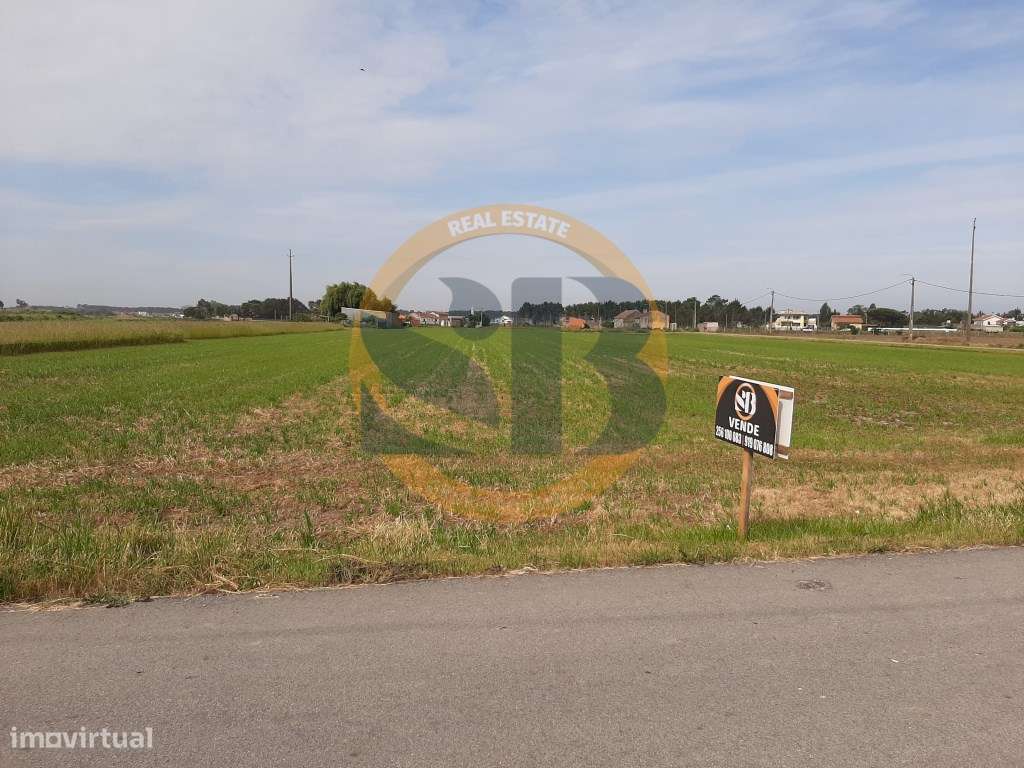 Terreno em Ovar - Grande imagem: 2/11