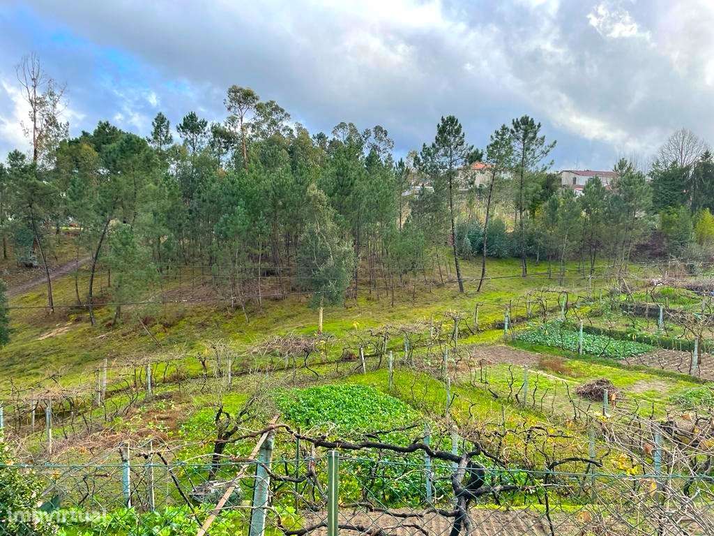 Quinta T6 em Amarante - Grande imagem: 5/25