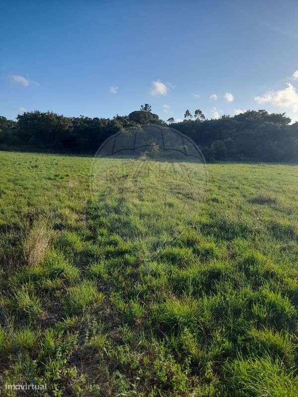 Terreno  para venda - Grande imagem: 3/6