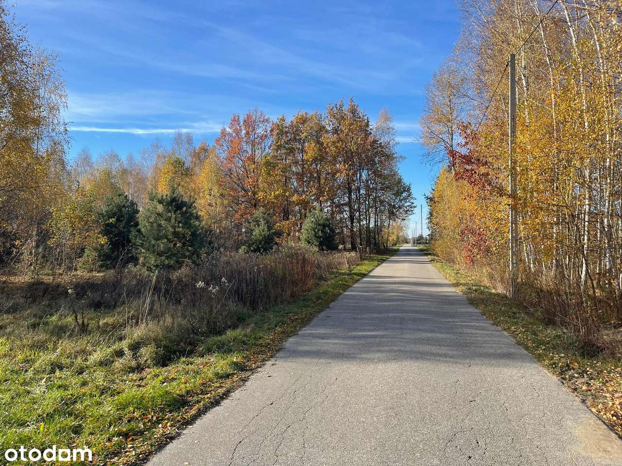Dz. Budowlane (WZ) Warunki Zabudowy, Iwowe gm Borowie, pow Garwoliński - Pełny obrazek: 2/14