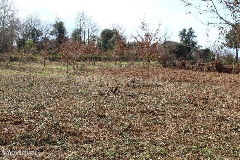 Terreno / Cinfães, Fornelos - Grande imagem: 5/13
