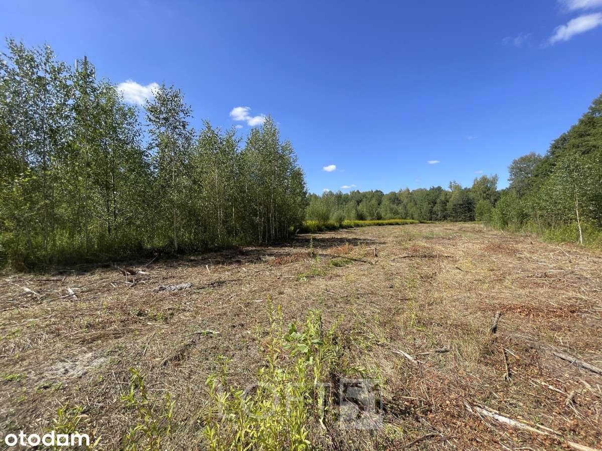 Działka dla dewelopera Nowy Prażmów-8