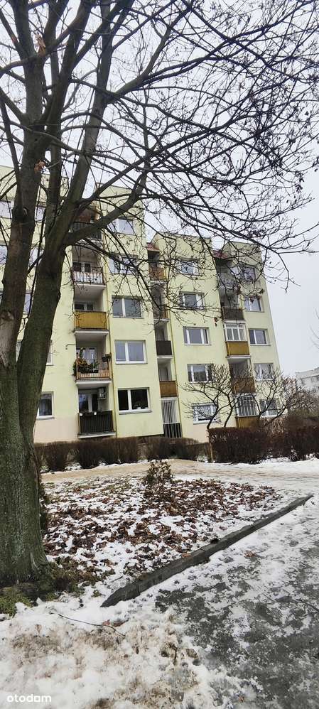 Mieszkanie 48m2 parter cegła parking Toruń Antczaka-0