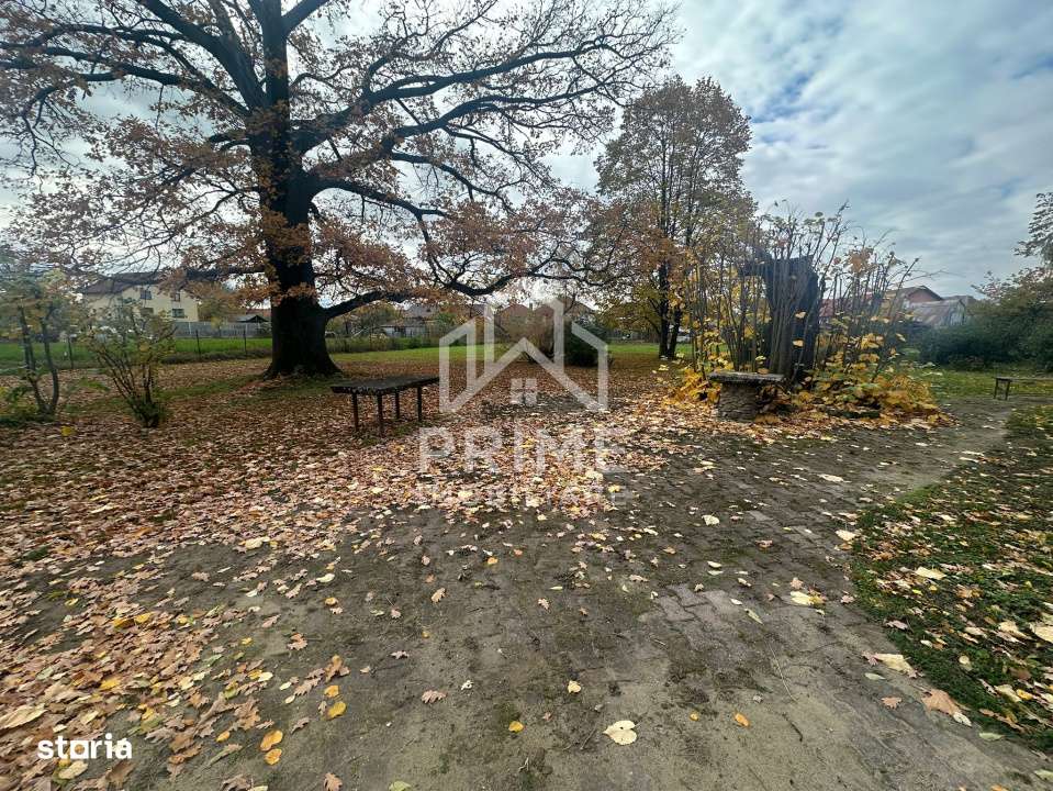 Teren Intravilan 2.000 mp| zona Vintu de Jos - Imagine principală: 2/4