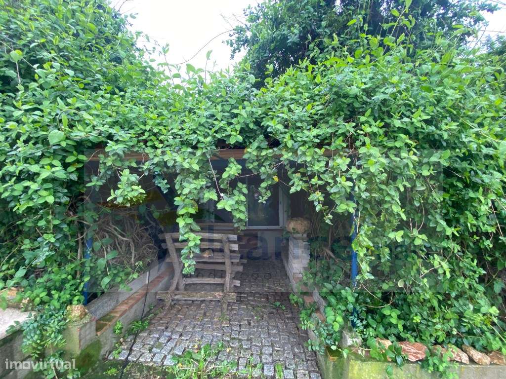 Quintinha de charme com 1,7 ha, capela privada e abundância de água... - Grande imagem: 2/37