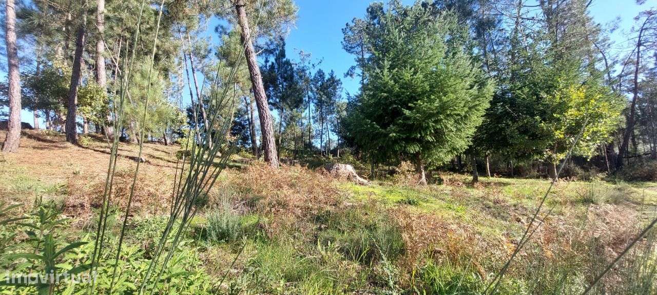 Terreno para Construção Soutulho - Viseu-8