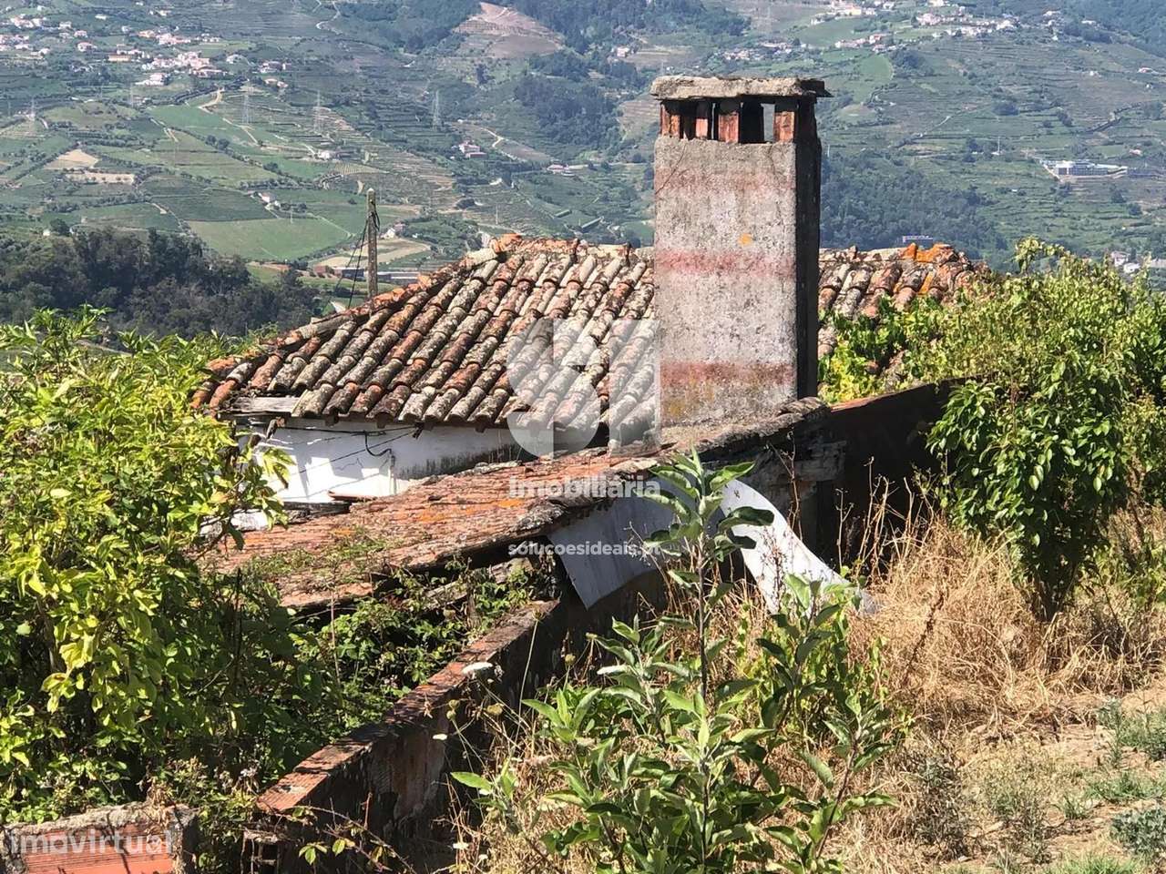 Quinta em Peso da régua - Grande imagem: 4/27