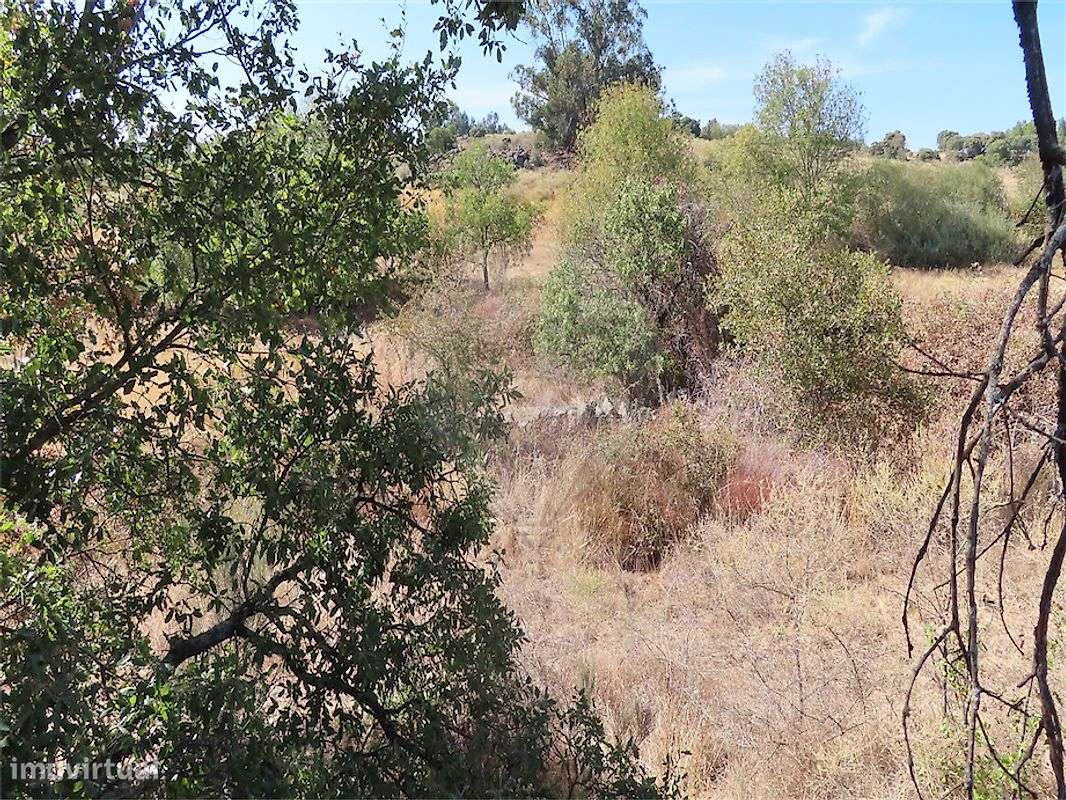 Quinta  para venda-31