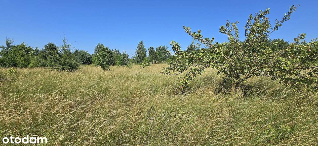 Działki budowlane Smolno,Gmina Puck,Powiat Pucki - Pełny obrazek: 4/8