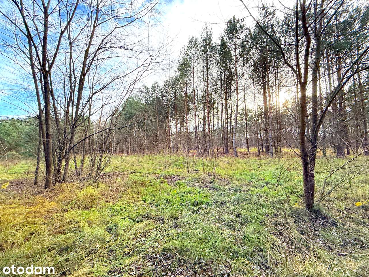 Działka przy Jeziorze Logo I Straduń I gm. Trzcianka-3