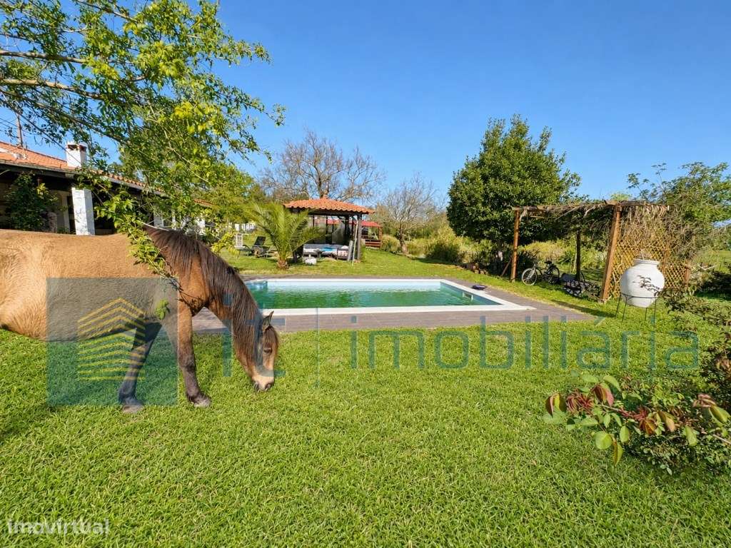 Monte alentejano / Quinta / Herdade-4