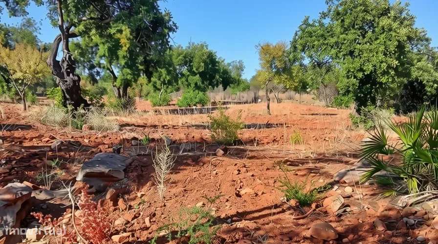 Terreno rústico plano com 4240 m2 no Algarve-6