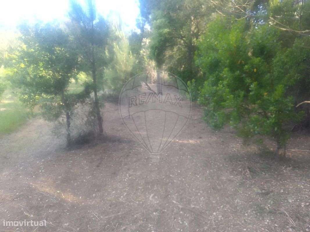 Terreno  para venda - Grande imagem: 5/5