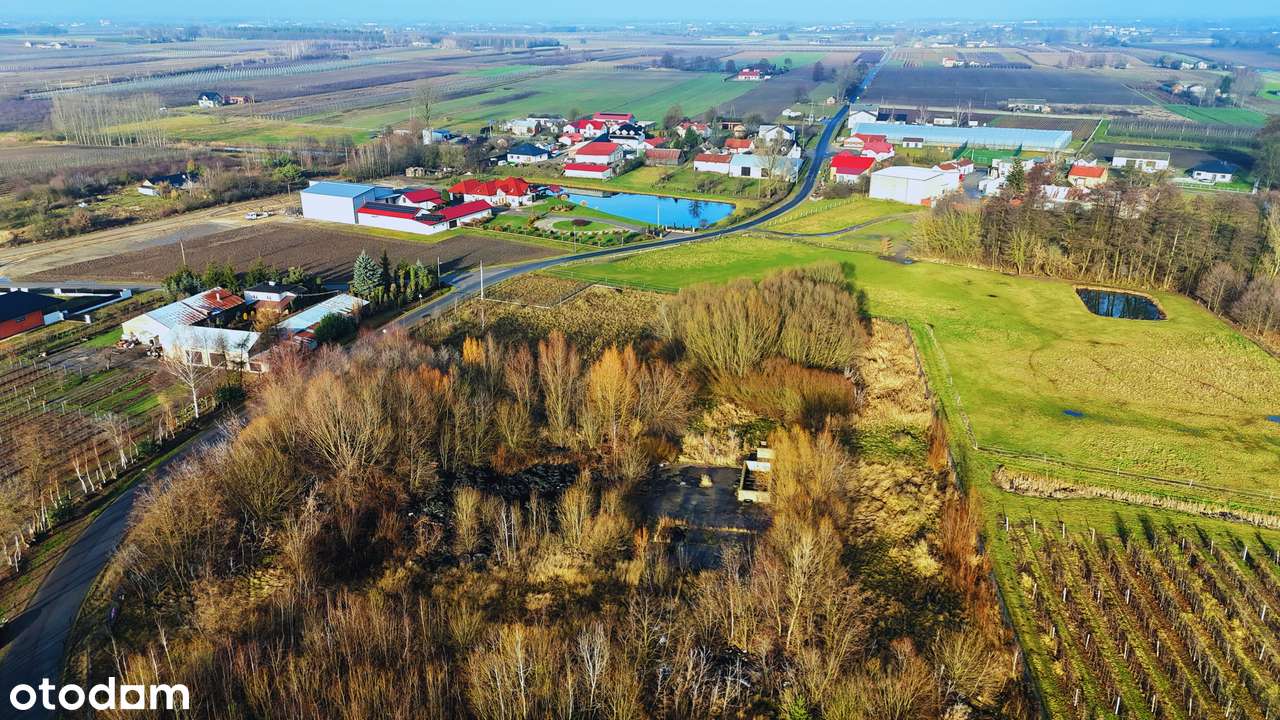 Gotowa pod inwestycję! Uzbrojona działka 1,9 ha pod produkcję,magazyny - Pełny obrazek: 4/12