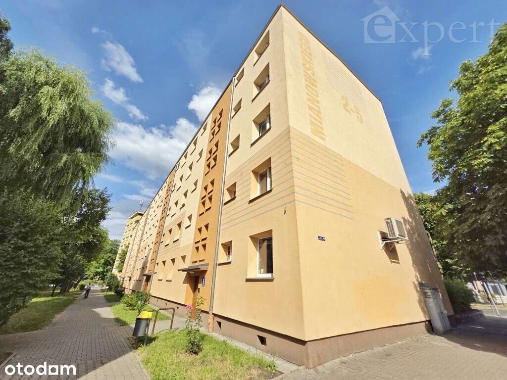 2 pokoje -Spółdzielcze możliwe dla obcokrajowców - Pełny obrazek: 3/14