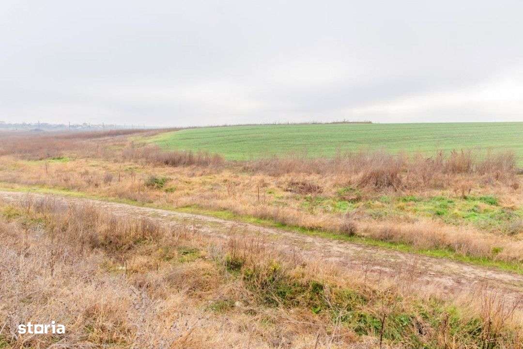 CERNICA - POSTA - TEREN INTRAVILAN CONSTRUCTII 15000 MP! - Imagine principală: 5/16