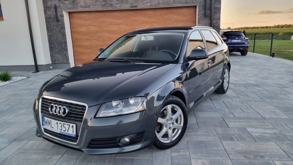 Audi A3 8P (2003-2012) 1.9 TDI Ambiente 2009