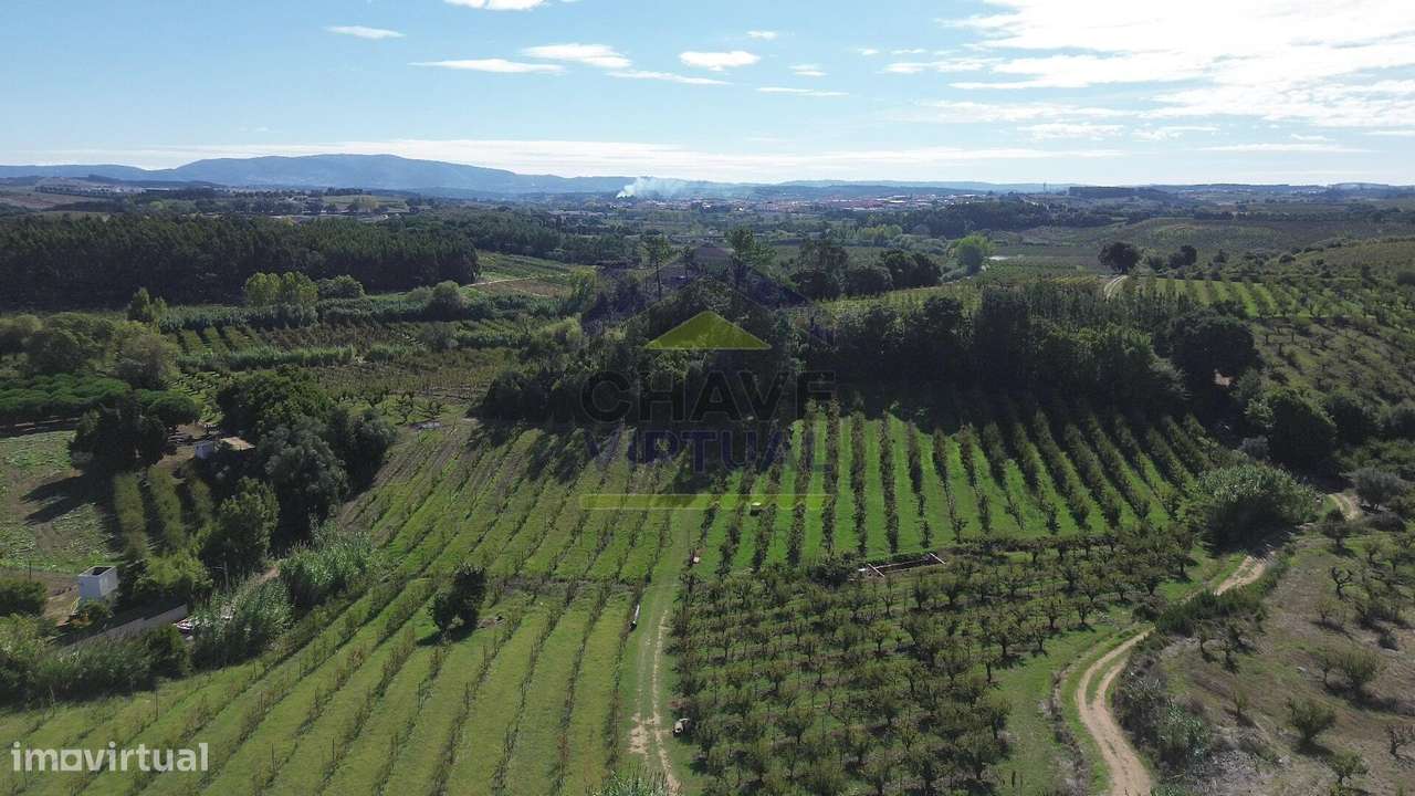 Moradia V3+1 Renovada com Terraço - Baraçais, Bombarral-38