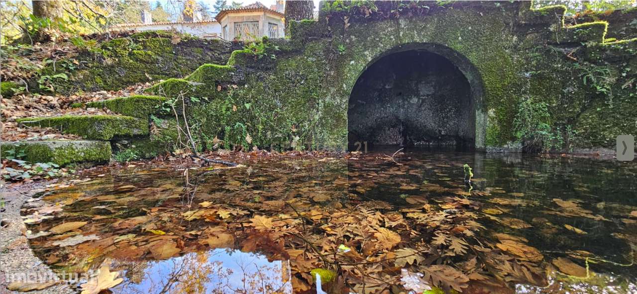 Casa da Cerca - Gouveia - Grande imagem: 3/39