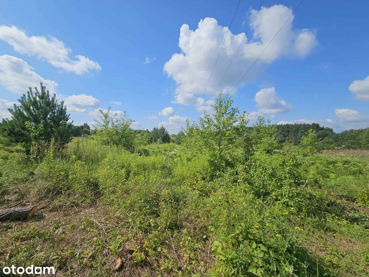 Inwestycja pod dom marzeń - działki budowlane w Jaworznie-7