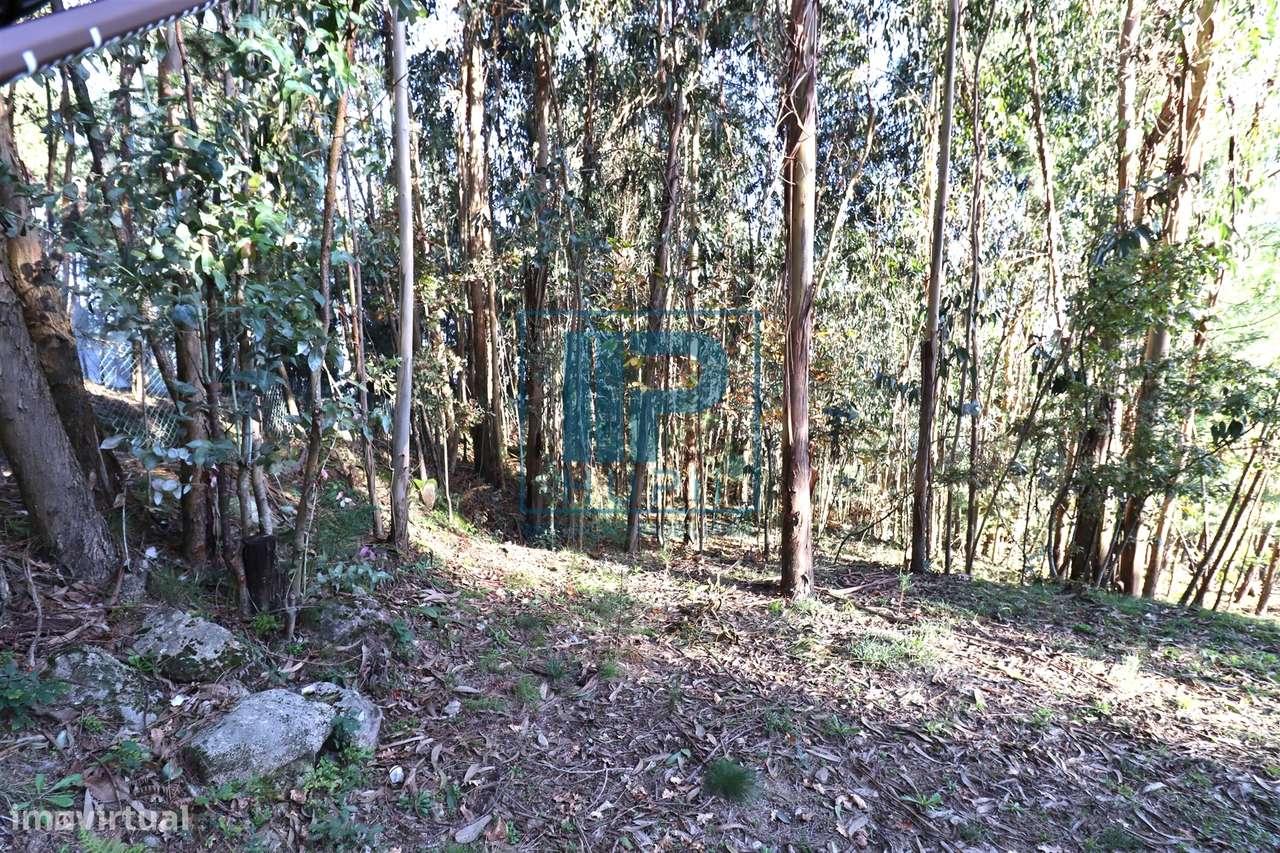 Moradia T3+1 Venda em Penhalonga e Paços de Gaiolo,Marco de Canaveses-38