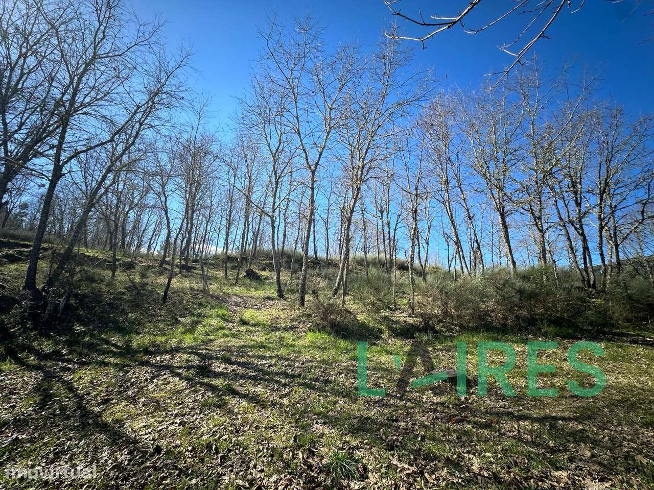 Quinta Agrícola com 3ha-9