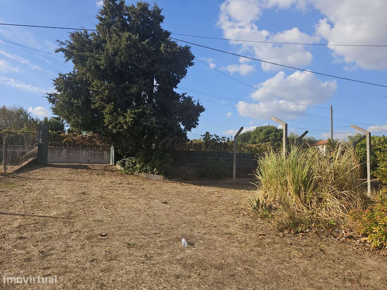 Quinta com moradia-19