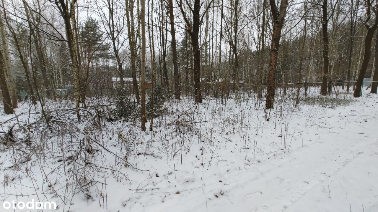 Działka rekreacyjno-budowlana 1000 m2, Prażmów.