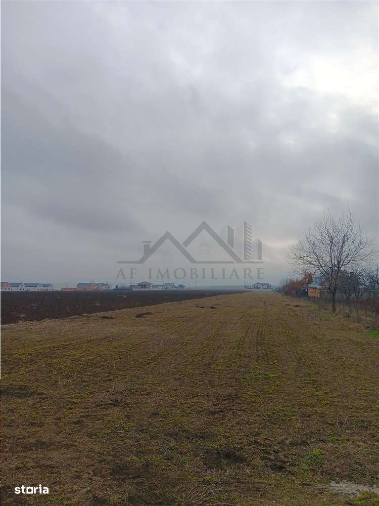 Aroneanu teren 8503 extravilan deschidere la doua strazi utilitati la - Imagine principală: 4/7