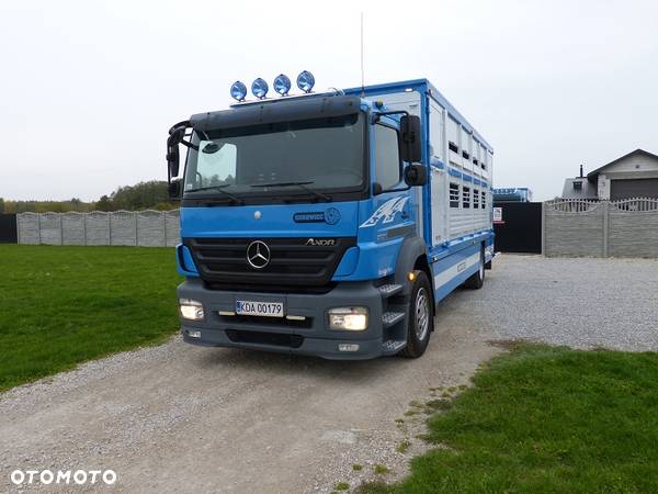 Mercedes-Benz AXOR 1829 DO ŻYWCA / ZWIERZĄT / BYDŁA Z WAGĄ / SUPER STAN / EURO 5 / DŁ. 7.50 M / CAŁY NA PODUSZKACH / DMC 18T!! - 2