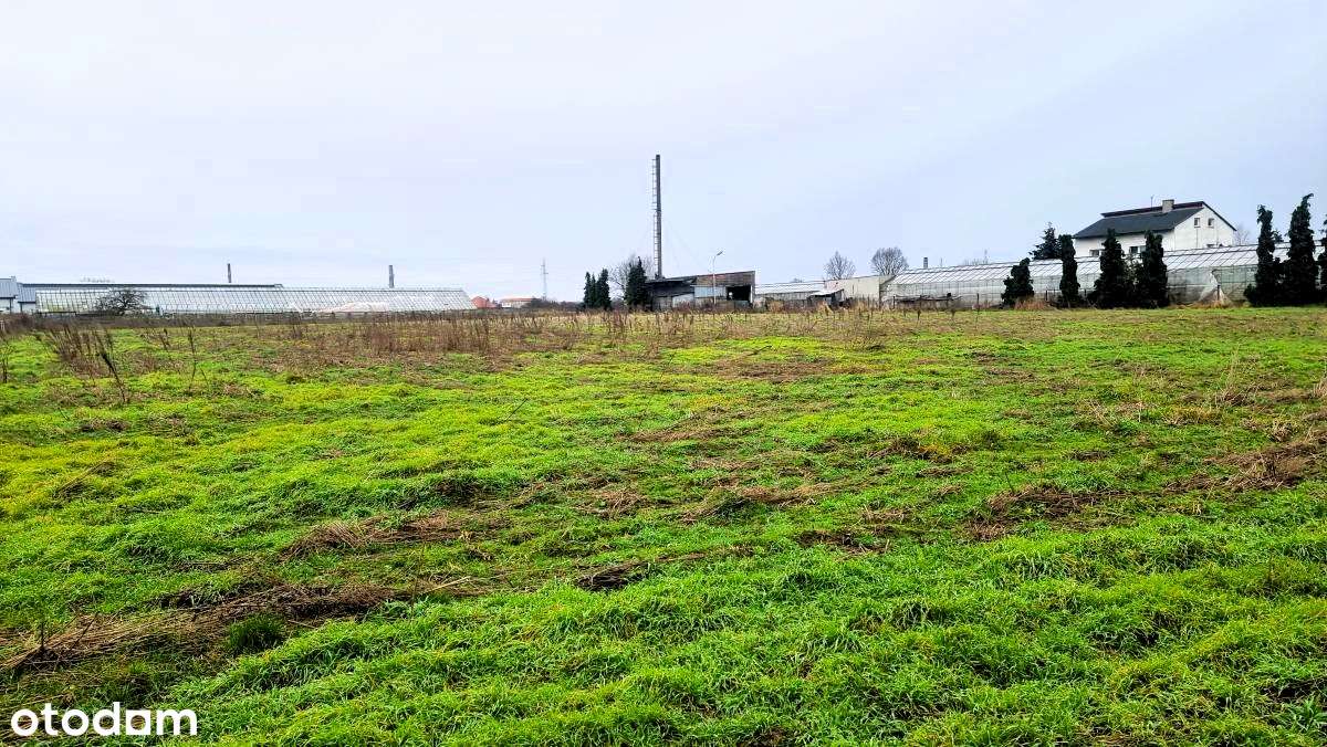 Działka Pod Inwestycję-1