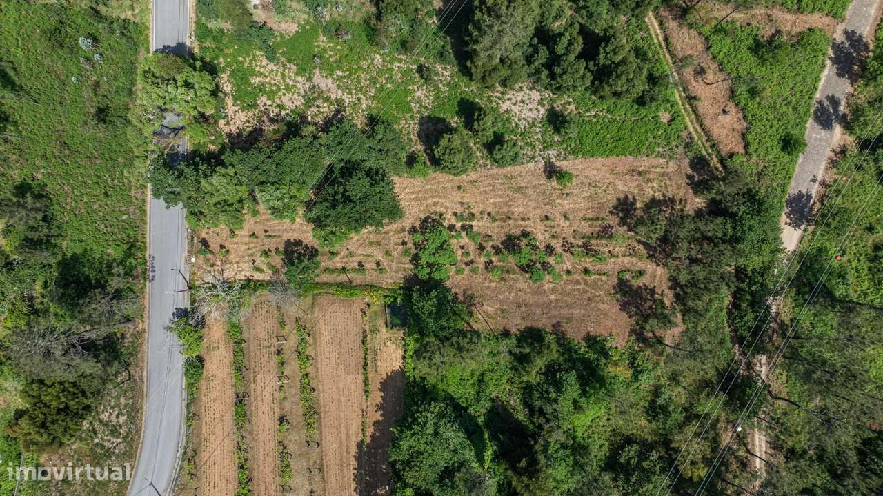 Terreno com PIP aprovado em Orbacém - Caminha - Grande imagem: 4/16
