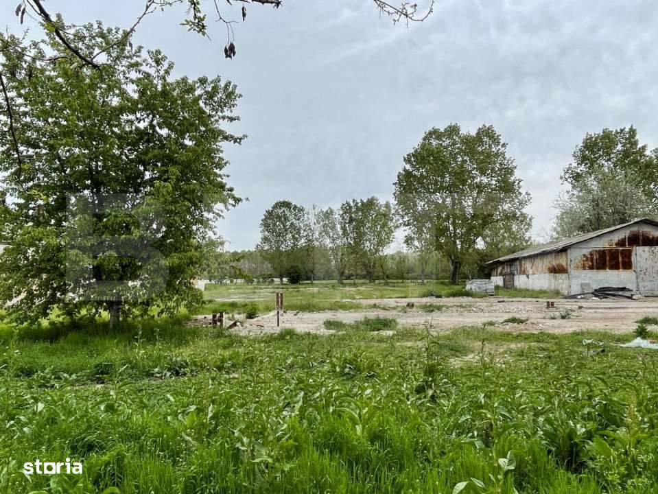 Oportunitate! Teren intravilan 3 hectare, Bals - Imagine principală: 5/5