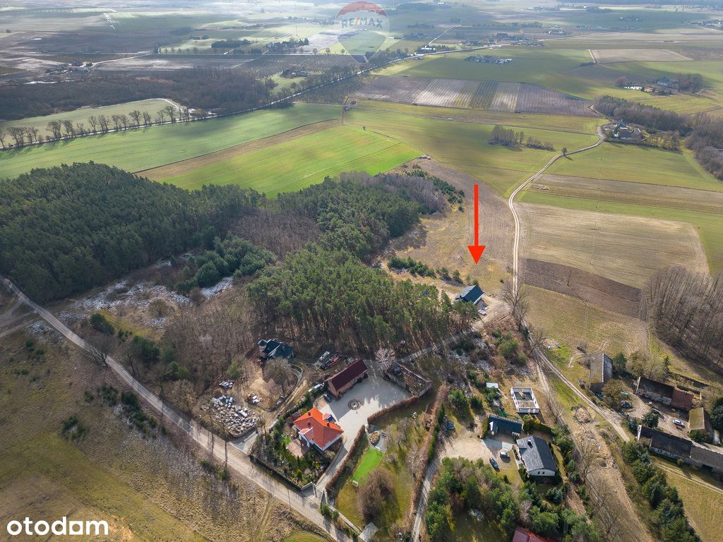 Działka budowlana wz las jeziora Pniewy Psarce