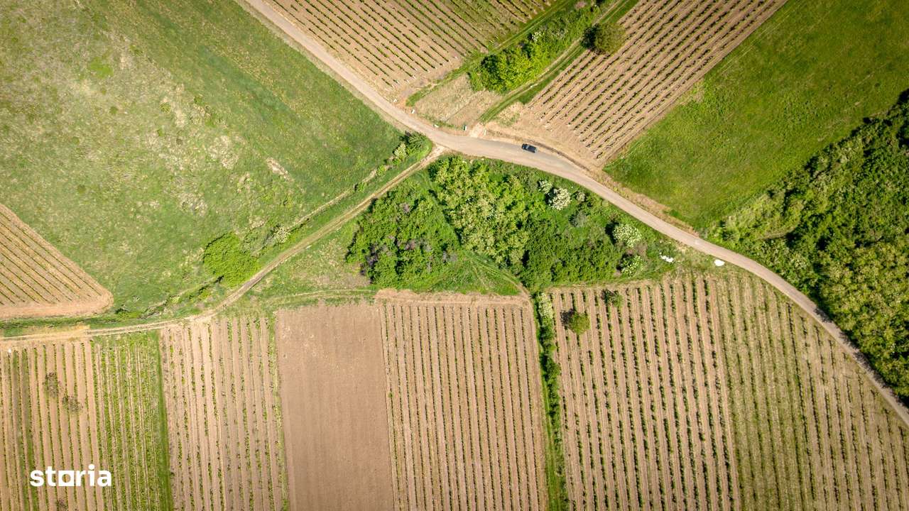 Teren extravilan - 3654 mp Dealul Șiriei - Imagine principală: 4/8