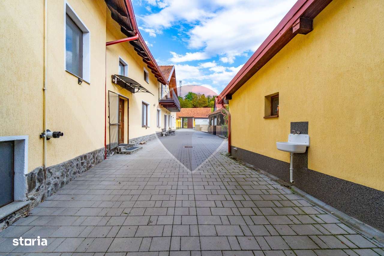 Proprietate de Poveste/ MANDRA/ DE VANZARE!- piscina exterioara!-8