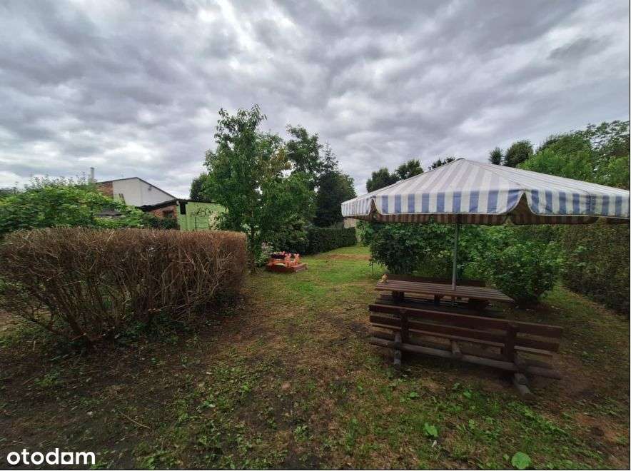 Damasławek - Centrum-4