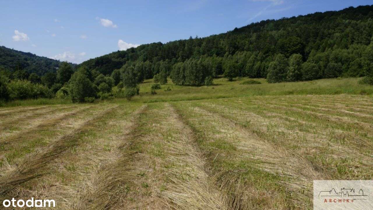 Działka budowlana z widokiem, 31 ar OKAZJA - Pełny obrazek: 4/6