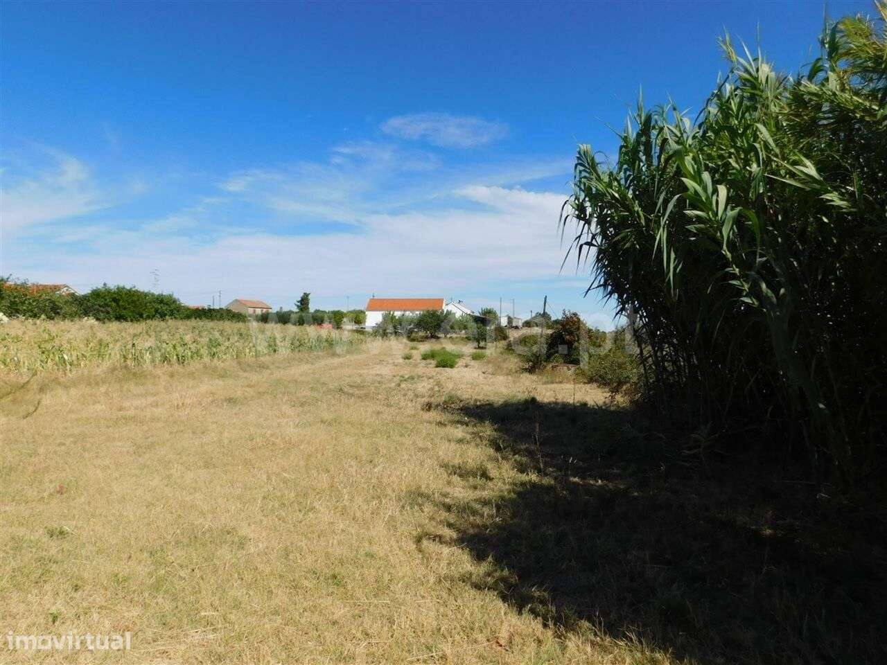 Quinta / Fundão, Catrão - Grande imagem: 4/13