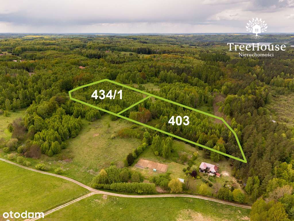 Działki w otulinie lasu nad jeziorem - Pełny obrazek: 4/17